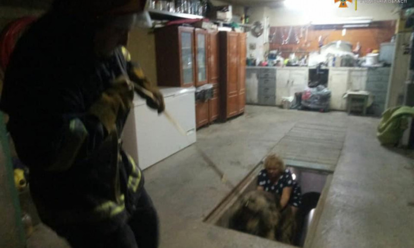 Спасатели ГСЧС провели операцию по спасению пса из подвала 