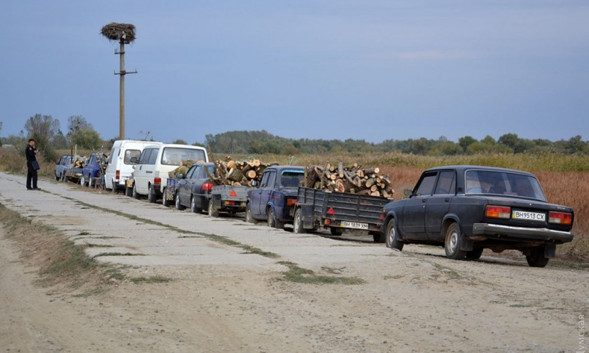 С лёгкой руки руководителей сельсовета местные жители массово уничтожают лес Придунавья