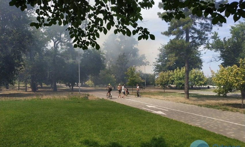 В Одессе горел парк Шевченко, — очевидцы
