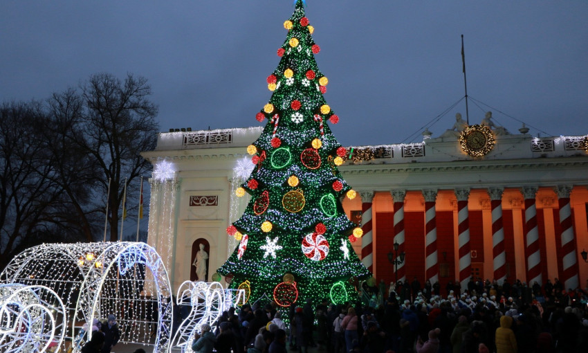 Представители партии Шария в горсовете Одессы раскритиковали траты на елку