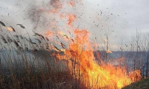 В Одесской области умерла женщина от обширных ожогов - спасала свои вещи