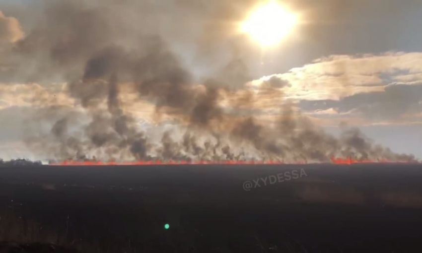 В Одесской области горит национальный парк «Нижнеднестровский» (Фото, Видео)
