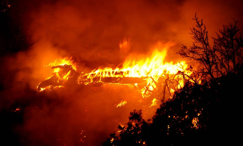 Лесной пожар: одесский подросток в США должен выплатить $36,6 млн