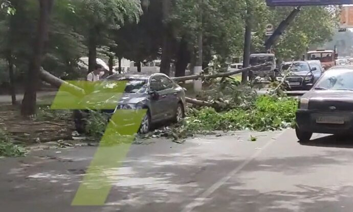В Одессе ветка рухнула на автомобиль – на дороге сложилась аварийная обстановка 
