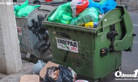 Большие мусорные баки на улицах заменят на компактные во дворах 