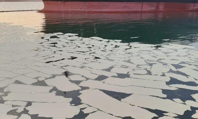 Корабль, который разлил пальмовое масло в порту, отпустили без возмещения ущерба 