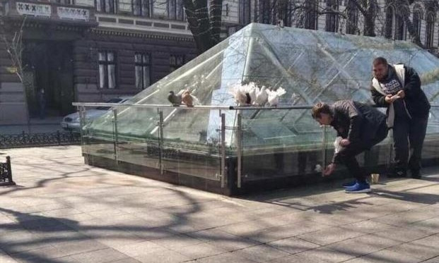 В центре Одессы у "фотобизнесменов" отобрали голубей 