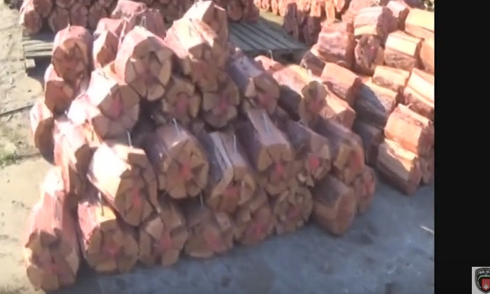 Полиция предотвратила незаконную вырубку леса