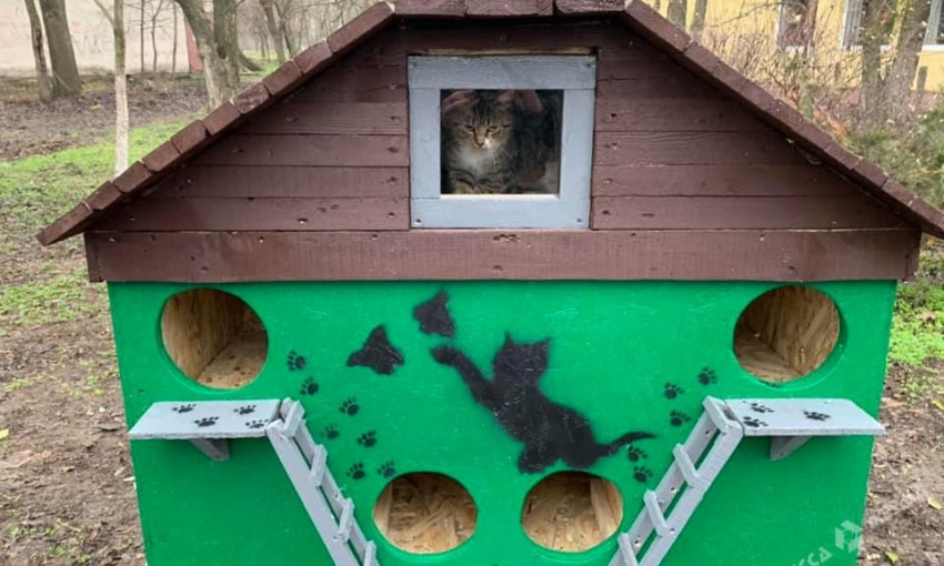В Одессе появился еще один многоэтажный кошкин дом 