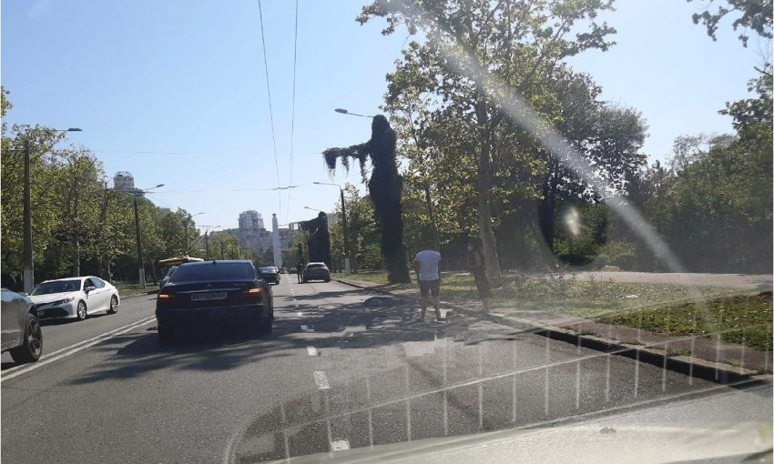 Пробка в Одессе у Парка Победы образовалась из-за смертельного ДТП (видео)
