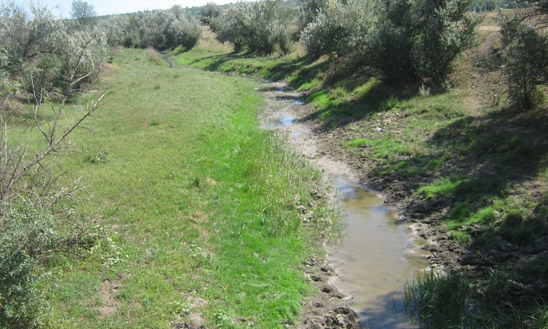 В Бессарабии засуха – реки мелеют и пересыхают 