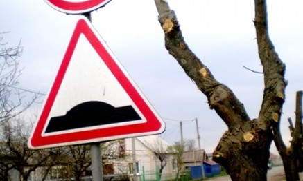 В Любашёвке обрезали деревья «под столбы» — жители возмущены