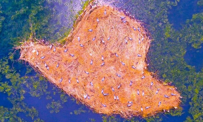 В национальном парке появился искусственный остров для птиц  
