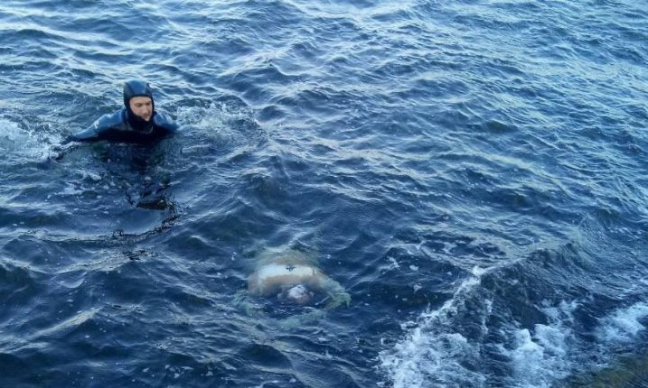 В Одессе возле дельфинария обнаружили тело утопленника