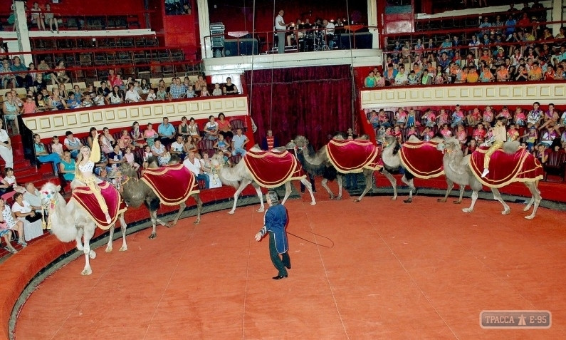 Одесский государственный цирк планируют продать