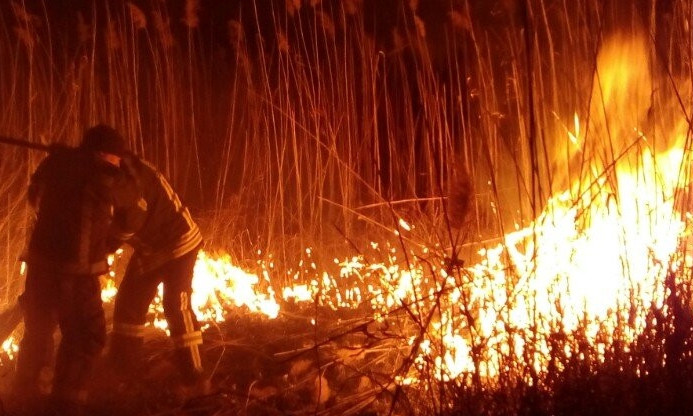 На Хаджибейской дороге возник сильный масштабный пожар