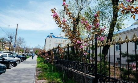 В Одессе вновь орудуют вандалы