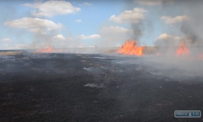 Пожар на пшеничном поле в Одесской области
