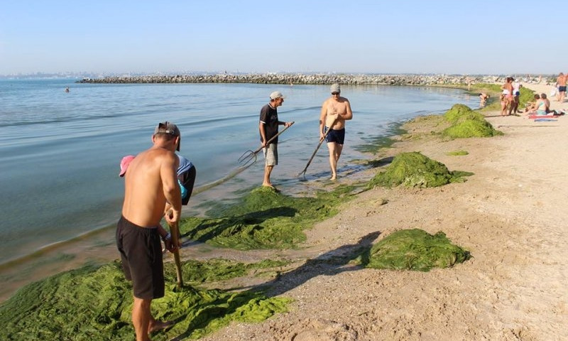 Масштабная уборка грязного пляжа в Крыжановке