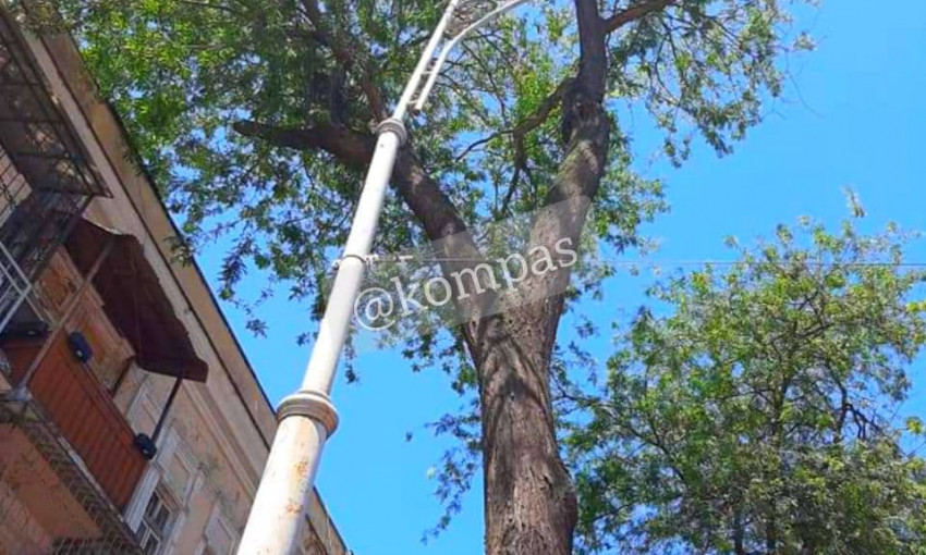 В Одессе коммунальщики подпилили здоровое дерево 