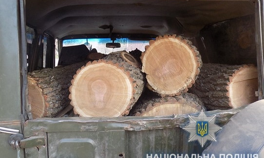 В Одесской области задержали мужчину, который рубил древесину незаконно (ФОТО)