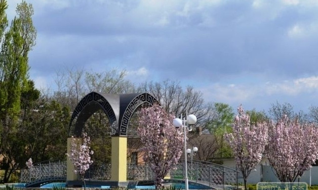 В Одесской области создадут сад из сакур