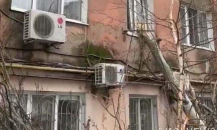 В Одессе дерево упало на жилой дом 