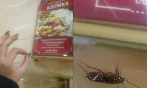 Кошмары нашего города: на витрине одесского супермаркета умирал таракан и дергал лапкой