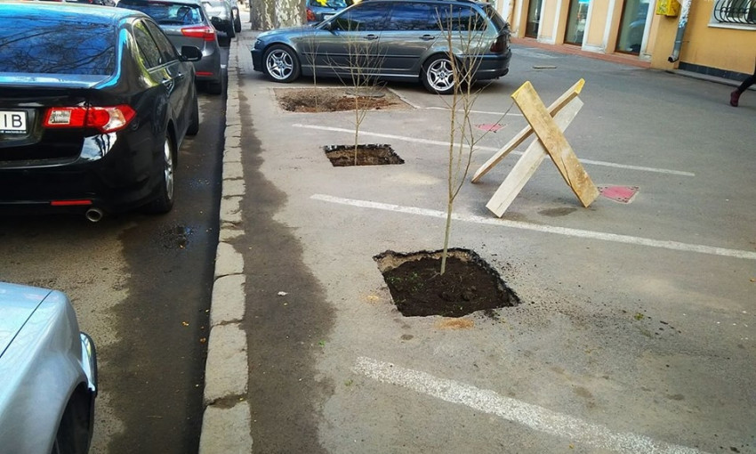 Очередная странная акция в Одессе: разбит асфальт, высажены деревья (ФОТО)