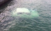На одесском пляже обнаружили затонувший автомобиль