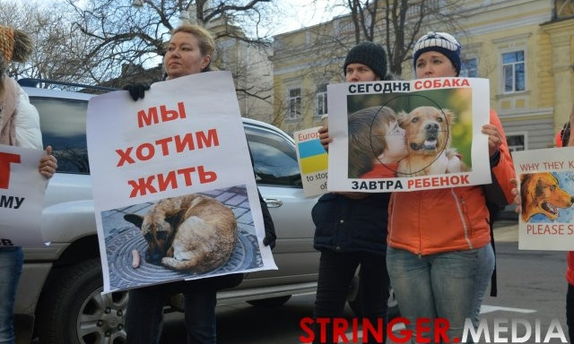 Защитники животных против садистского сафари на животных в Одессе