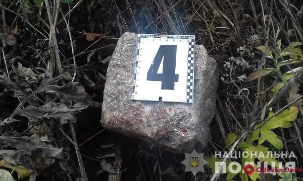 В Одесской области женщину лишили жизни камнем