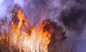 В Одесской области горит заповедник 