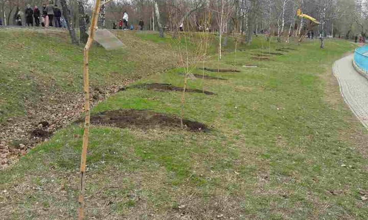 В парке Победа одесситы посадили сегодня 110 деревьев
