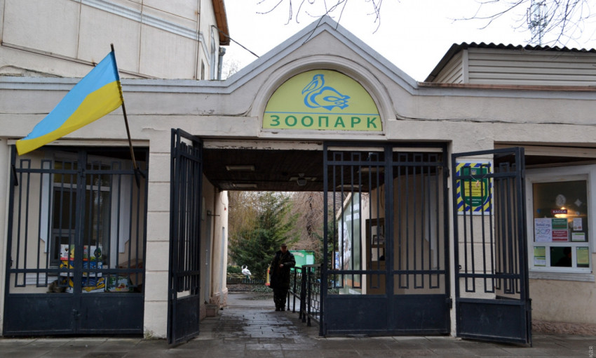 Одесский зоопарк закрыли для посещений - причины