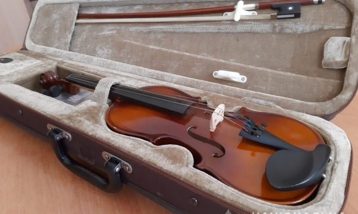 В Одессе грабитель украл скрипки и кинжалы 