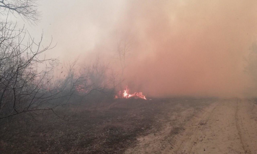 Масштабный пожар в Одесской области (ФОТО)