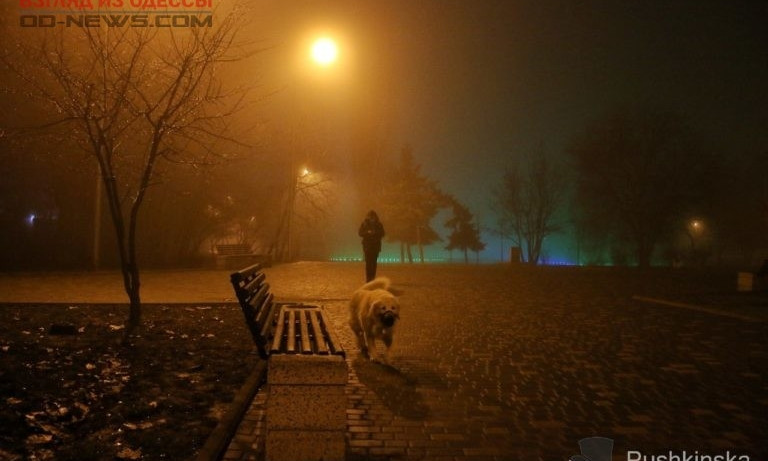 Завораживающая Одесса в тумане (ФОТО)