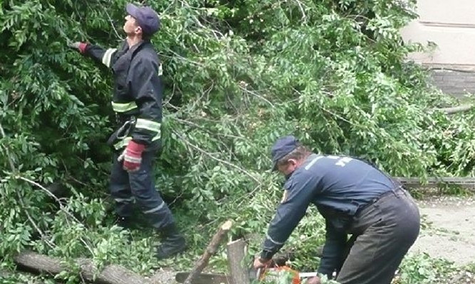 В Одессе на церковь упало дерево
