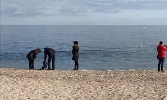 Одесситы проводят воскресный день на берегу моря