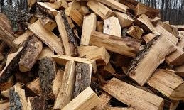 Одесское коммунальное предприятие начало продажу дров