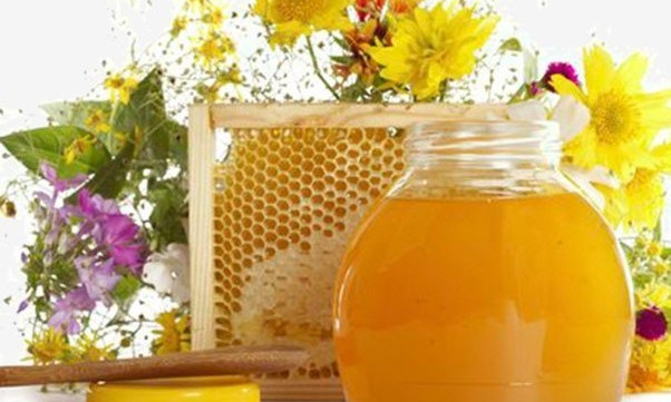 Осторожно, майский мед: пчеловоды сказали правду о ранних сортах