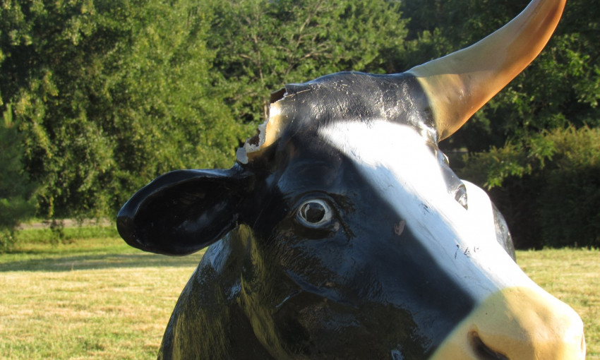 Вандалы поиздевались над статуями коров в Измаиле (ФОТО)