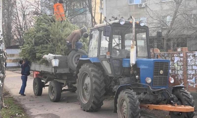 В Одессе нереализованные елки бросили прямо на улицах 
