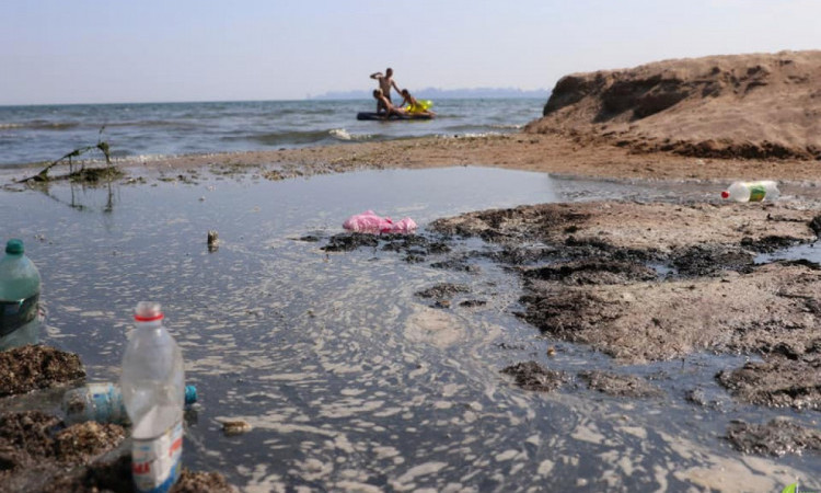 Специалисты признали одесские пляжи чистыми – эколог не согласен 