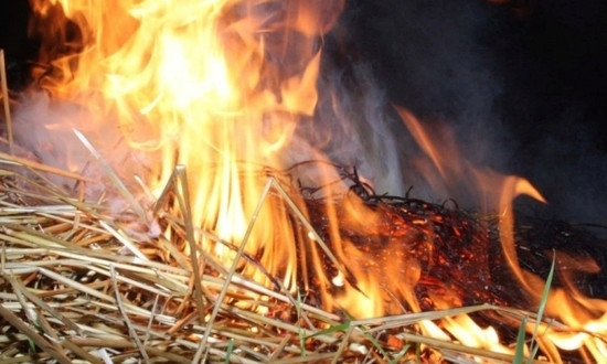 В Белгород-Днестровском районе горели тонны сена