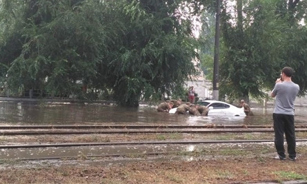 В Одессе утонуло авто