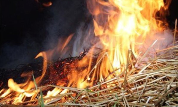Пожар в посёлке Сычавка: сгорела солома