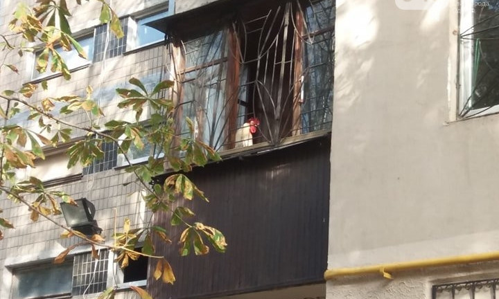 Голосистая птица поселилась на одном из балконов таировской многоэтажки