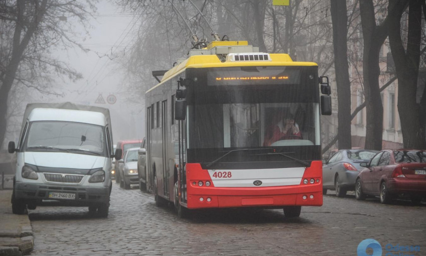 В Одессе из-за упавшего дерева ограничено движение некоторых троллейбусов